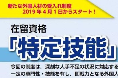 特定技能和相关考试详细介绍