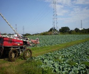 赴日本技能实习生—农业