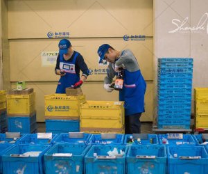 日本琦玉大型物流集团—物流工