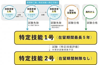 稳了！无学历要求拿永住！签证无限期的特定技能2号~新增至11个领域！外食、食品、宿泊、农业等均在列！！！