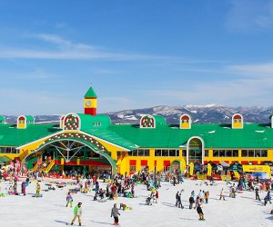 日本岐阜 - 知名滑雪场 【低门槛+包吃住】