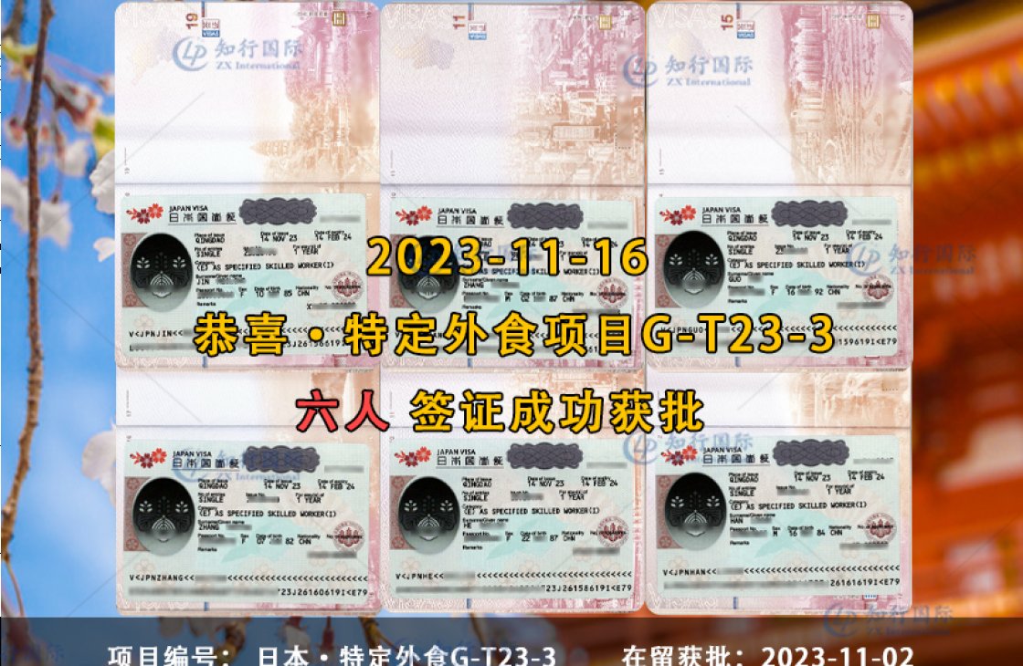 2023-11-16 特定外食 郭芬 韩利昆 何匙佳 金美玲 张海燕 张秀东 6人【特定外食签证获批】