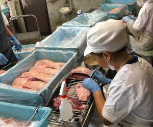 日本特定 - 宫城 食品加工